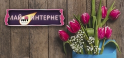 5 аргументов, почему интернет нужно менять именно на майских праздниках